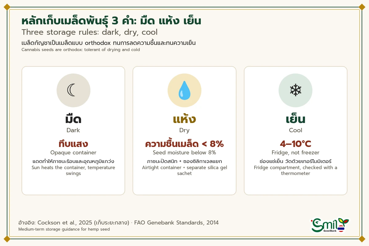 แผนภาพหลักเก็บเมล็ดพันธุ์ 3 ข้อ มืด (ภาชนะทึบแสง) แห้ง (ความชื้นเมล็ดต่ำกว่า 8% ใช้ภาชนะปิดสนิทกับซิลิกาเจล) และเย็น (ช่องแช่เย็น 4–10°C วัดด้วยเทอร์โมมิเตอร์)