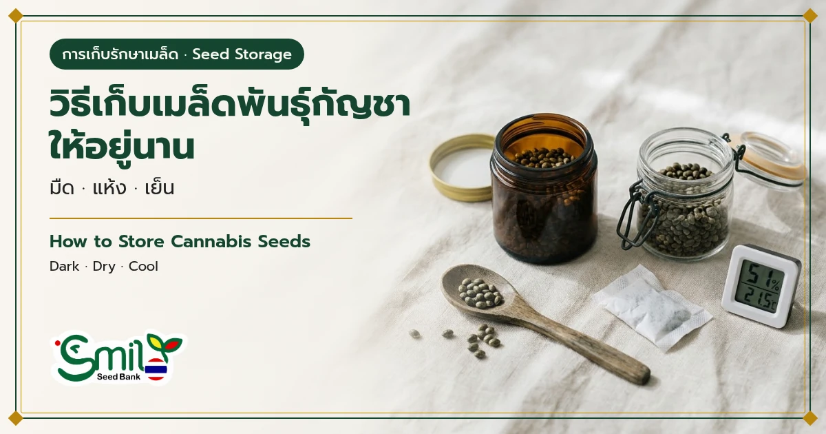 ภาพปกบทความวิธีเก็บเมล็ดพันธุ์กัญชาให้อยู่นาน ขวดแก้วสีชาและขวดฝาล็อกบรรจุเมล็ดกัญชา ช้อนไม้ ซองซิลิกาเจล และเครื่องวัดความชื้นบนผ้าลินินสีครีม พร้อมข้อความ มืด แห้ง เย็น