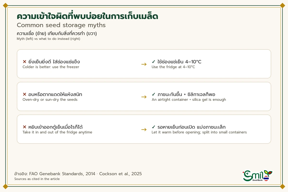 ตารางเทียบความเข้าใจผิด 3 ข้อในการเก็บเมล็ดกับสิ่งที่ควรทำ ใช้ช่องแช่เย็นแทนช่องแช่แข็ง ใช้ภาชนะกันชื้นกับซิลิกาเจลแทนการอบหรือตากแดด และรอให้หายเย็นก่อนเปิดภาชนะ