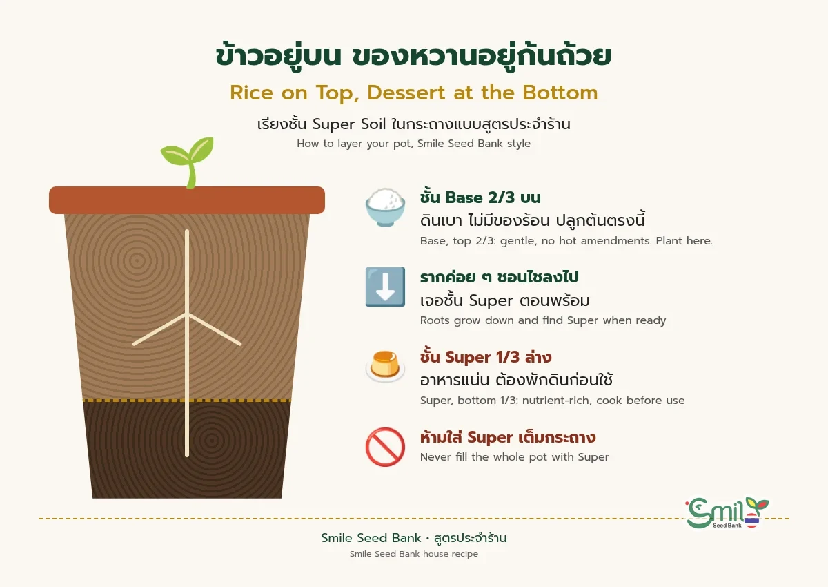 แผนภาพกระถางแบ่งสองชั้น ชั้น Base 2/3 ด้านบนเป็นดินเบาที่ปลูกต้นกล้า ชั้น Super 1/3 ด้านล่างเป็นดินอาหารแน่นที่ต้องพักก่อนใช้ รากค่อย ๆ ชอนไชลงไปหา เปรียบเหมือนข้าวอยู่บน ของหวานอยู่ก้นถ้วย