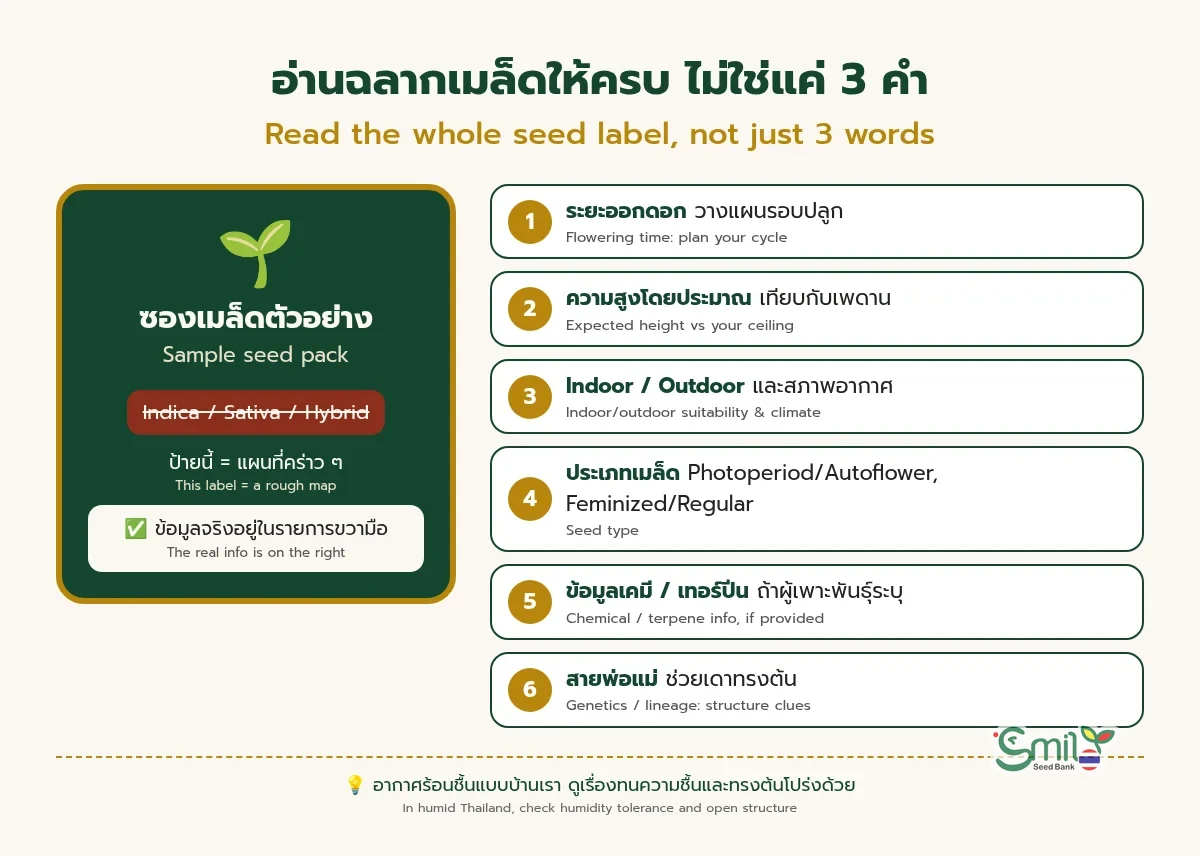 เช็กลิสต์อ่านฉลากเมล็ด 6 ข้อ: ระยะออกดอก, ความสูงโดยประมาณ, Indoor/Outdoor, ประเภทเมล็ด, ข้อมูลเคมี/เทอร์ปีน และสายพ่อแม่ ข้างซองเมล็ดตัวอย่างที่ขีดฆ่าป้าย Indica/Sativa/Hybrid ว่าเป็นแค่แผนที่คร่าว ๆ