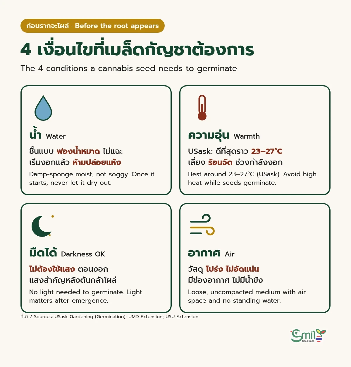 สี่เงื่อนไขที่เมล็ดกัญชาต้องการก่อนงอก: น้ำ ชื้นแบบฟองน้ำหมาดไม่แฉะและห้ามปล่อยแห้งหลังเริ่มงอก, ความอุ่น ราว 23–27 องศาเซลเซียสตาม USask และเลี่ยงร้อนจัด, มืดได้ เพราะไม่ต้องใช้แสงตอนงอก, อากาศ วัสดุโปร่งไม่อัดแน่นและไม่มีน้ำขัง