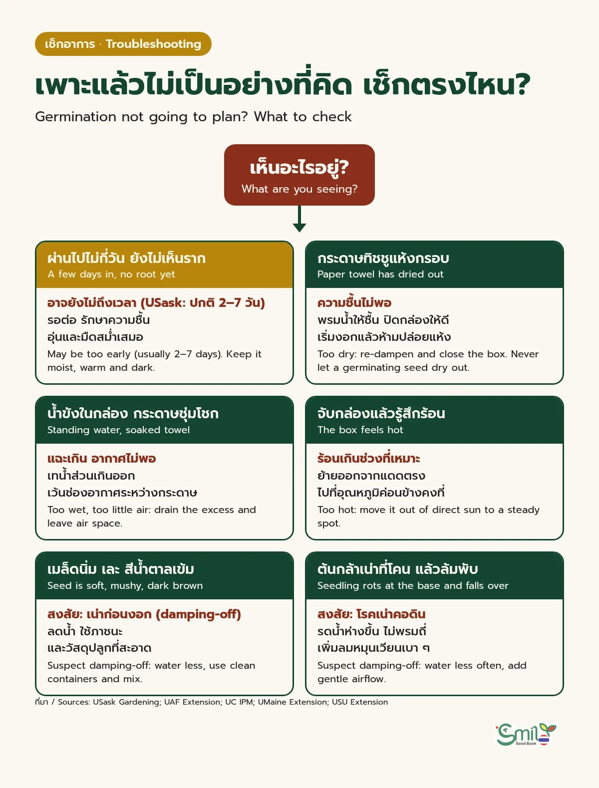 ผังเช็กอาการเมื่อเพาะเมล็ดแล้วไม่เป็นอย่างที่คิด: ยังไม่เห็นรากหลังไม่กี่วันอาจยังไม่ถึงเวลา, กระดาษแห้งกรอบคือความชื้นไม่พอ, น้ำขังคือแฉะเกินและอากาศไม่พอ, กล่องร้อนคือร้อนเกิน, เมล็ดนิ่มเละสีน้ำตาลเข้มสงสัยเน่าก่อนงอก, ต้นกล้าเน่าที่โคนแล้วล้มสงสัยโรคเน่าคอดิน พร้อมวิธีแก้แต่ละข้อ