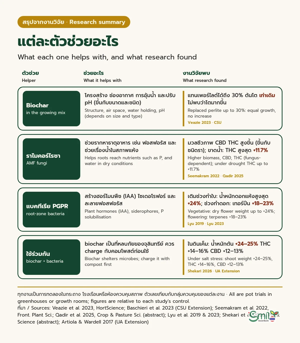 แผนภูมิสรุป "แต่ละตัวช่วยอะไร" จากงานวิจัย สี่แถว: biochar ในวัสดุปลูก ช่วยเรื่องโครงสร้าง ช่องอากาศ การอุ้มน้ำ และ pH งานวิจัยพบว่าแทนเพอร์ไลต์ได้ถึง 30% โดยต้นโตเท่าเดิม ไม่พบว่าโตมากขึ้น; ราไมคอร์ไรซา ช่วยรากหาธาตุอาหารและน้ำ งานวิจัยพบมวลชีวภาพ CBD และ THC สูงขึ้นโดยขึ้นกับชนิดรา และภายใต้ภาวะขาดน้ำ THC สูงสุด +11.7%; แบคทีเรีย PGPR สร้างฮอร์โมนพืช ไซเดอโรฟอร์ และละลายฟอสฟอรัส งานวิจัยพบว่าเติมช่วงทำใบน้ำหนักดอกแห้งสูงสุด +24% และเติมช่วงทำดอกเทอร์ปีน +18–23%; ใช้ biochar ร่วมกับแบคทีเรีย ในดินเค็มน้ำหนักต้น +24–25% THC +14–16% CBD +12–13% ท้ายภาพระบุว่าทุกงานเป็นการทดลองในกระถาง และตัวเลขเทียบกับกลุ่มควบคุมของแต่ละงาน