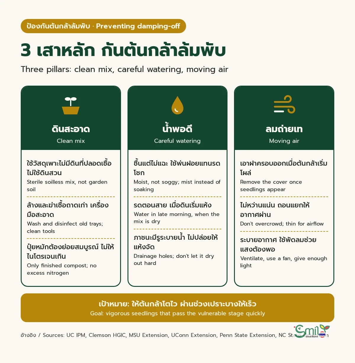 สามเสาหลักป้องกันต้นกล้าล้มพับ: ดินสะอาด (วัสดุเพาะไม่มีดินที่ปลอดเชื้อ ฆ่าเชื้อถาดเก่า ปุ๋ยหมักต้องย่อยสมบูรณ์), น้ำพอดี (ชื้นไม่แฉะ รดตอนสายเมื่อดินเริ่มแห้ง มีรูระบายน้ำ), ลมถ่ายเท (เอาฝาครอบออกเมื่อต้นโผล่ ไม่หว่านแน่น ระบายอากาศและแสงพอ) เป้าหมายคือให้ต้นกล้าโตไวผ่านช่วงเปราะบาง