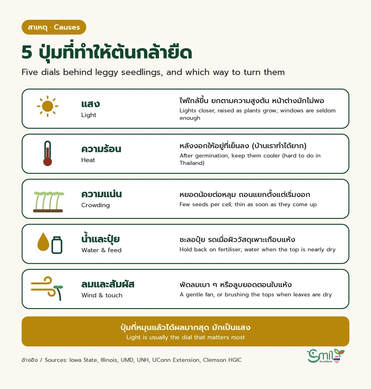 แผนภาพ 5 ปุ่มที่ทำให้ต้นกล้ายืดและทางแก้: แสง (ไฟใกล้ขึ้น ยกตามความสูงต้น หน้าต่างมักไม่พอ) ความร้อน (หลังงอกให้อยู่ที่เย็นลง) ความแน่น (หยอดน้อยต่อหลุม ถอนแยก) น้ำและปุ๋ย (ชะลอปุ๋ย รดเมื่อผิวเกือบแห้ง) ลมและสัมผัส (พัดลมเบา ๆ หรือลูบยอดตอนใบแห้ง) โดยแสงมักเป็นปุ่มที่สำคัญที่สุด