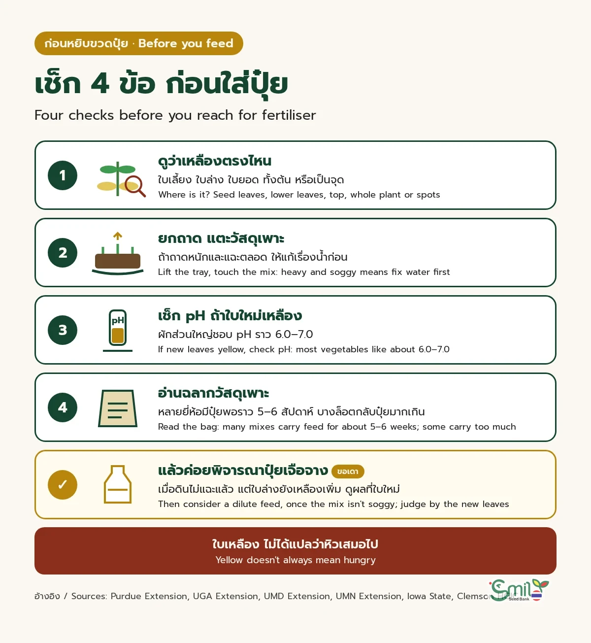 เช็ก 4 ข้อก่อนใส่ปุ๋ย: 1 ดูว่าเหลืองตรงไหน 2 ยกถาดและแตะวัสดุเพาะ ถ้าหนักและแฉะให้แก้น้ำก่อน 3 เช็ก pH ถ้าใบใหม่เหลือง ผักส่วนใหญ่ชอบราว 6.0–7.0 4 อ่านฉลากวัสดุเพาะ แล้วค่อยพิจารณาปุ๋ยเจือจางเมื่อดินไม่แฉะ (ขอเดา) โดยดูผลที่ใบใหม่