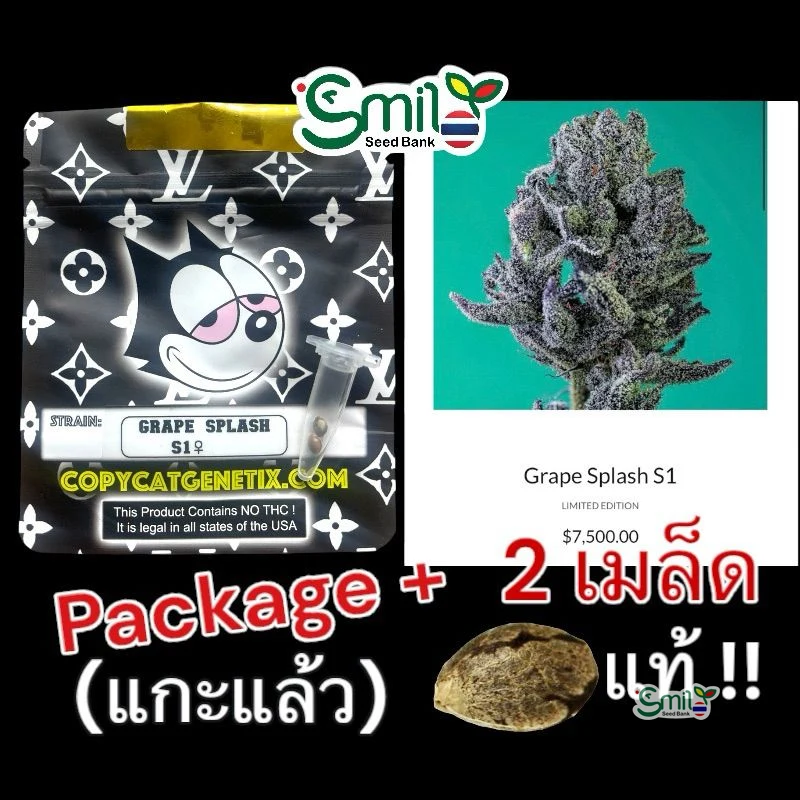 Grape Splash S1 — 3