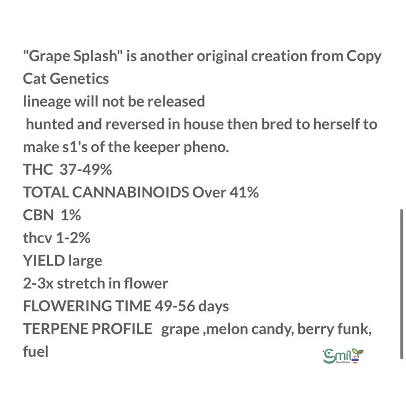 Grape Splash S1 — 5