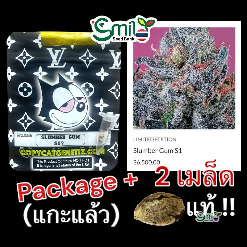 Slumber Gum S1 — 4