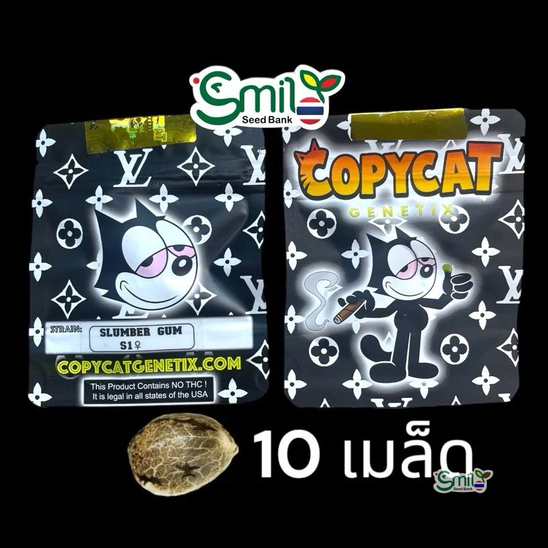 Slumber Gum S1 — 5