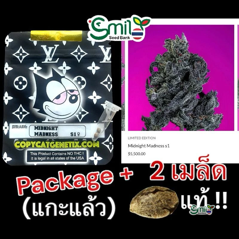 Midnight Madness — 4