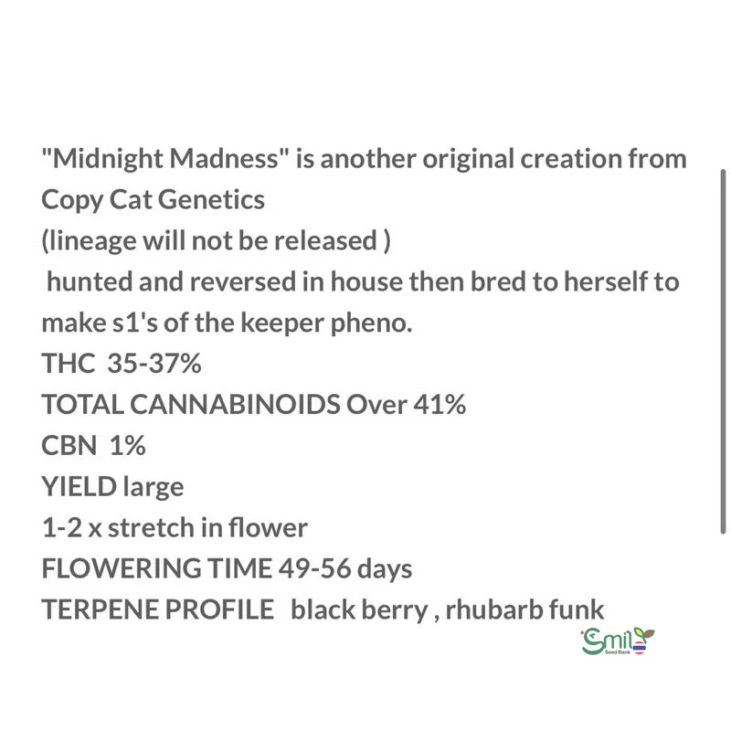 Midnight Madness — 5