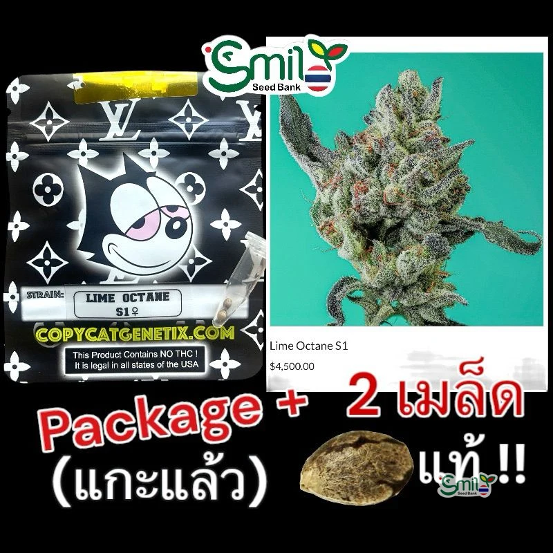 Lime Octane S1 — 4