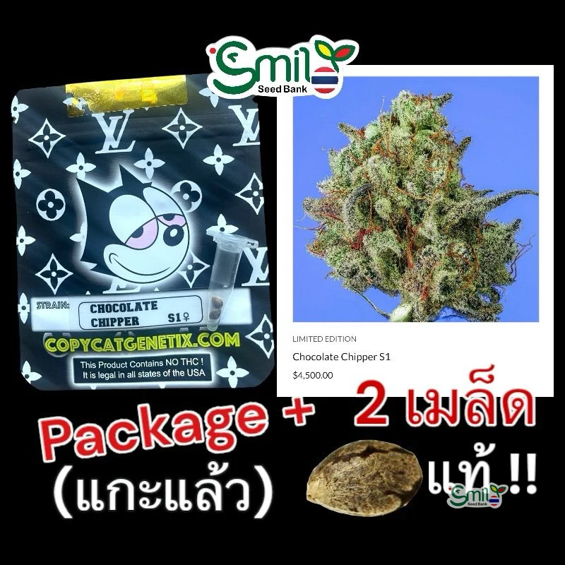 Chocolate Chipper — 4