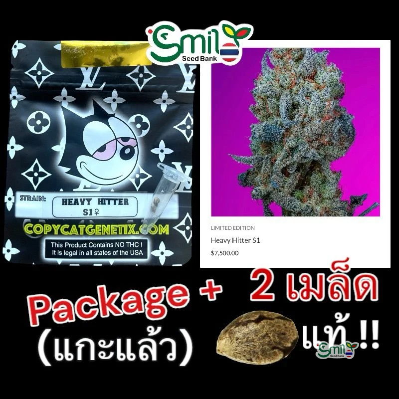 Heavy Hitter S1 — 4