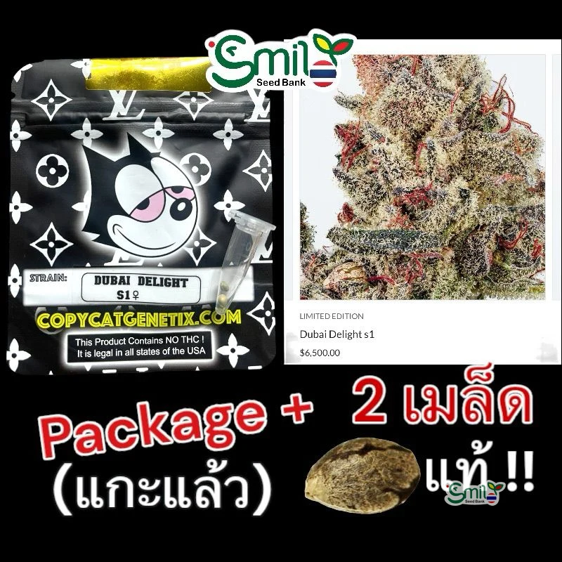 Dubai Delight S1 — 4