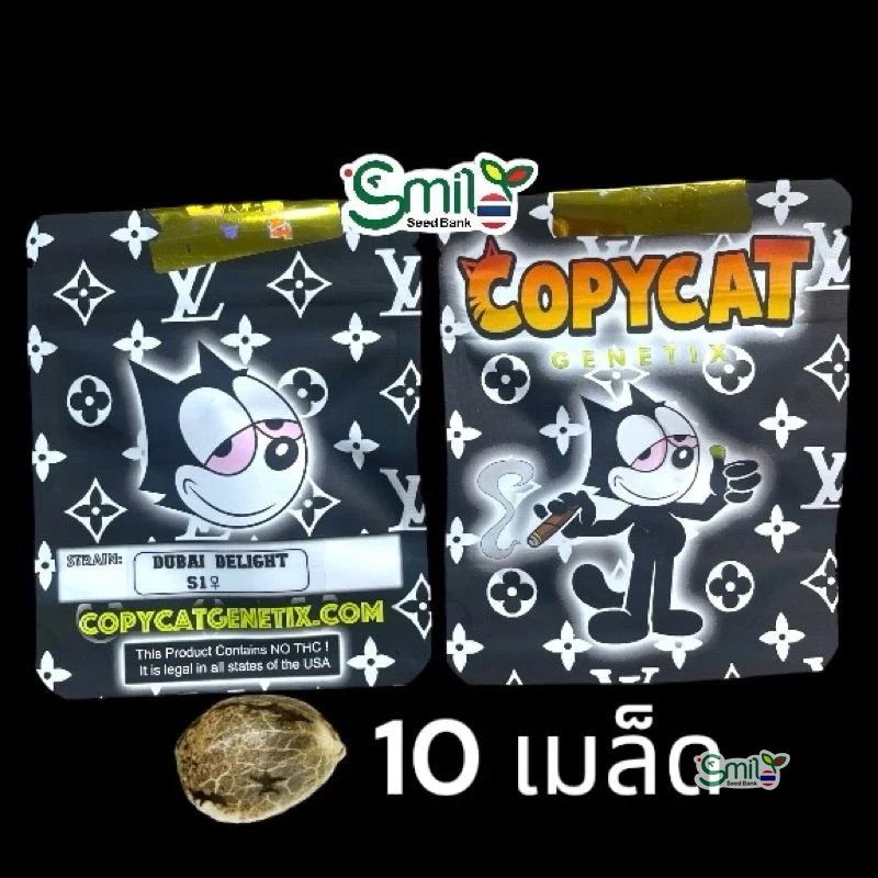 Dubai Delight S1 — 5