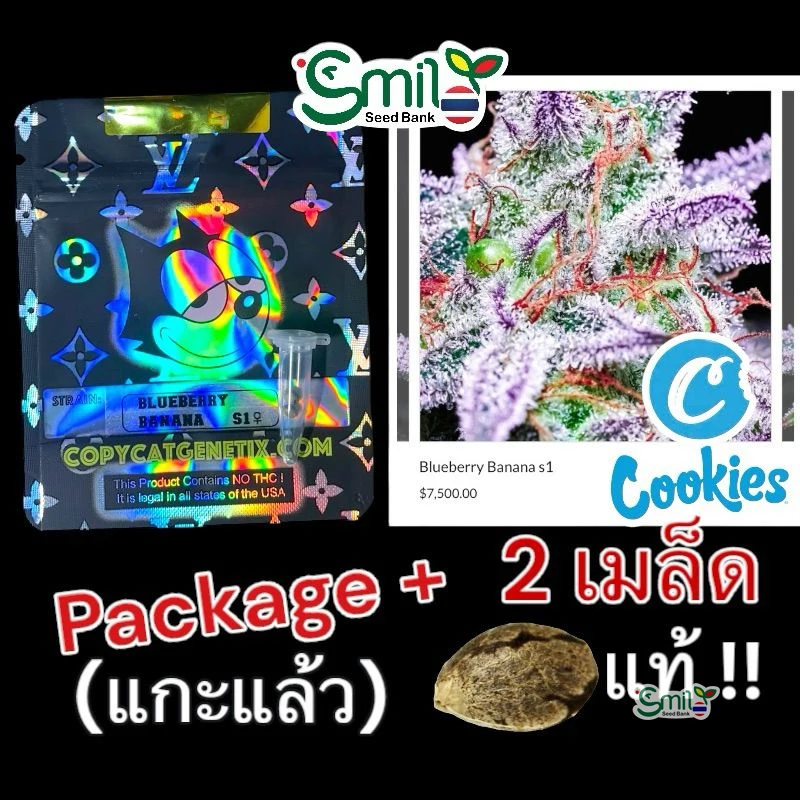 Blueberry Banana S1 — 4