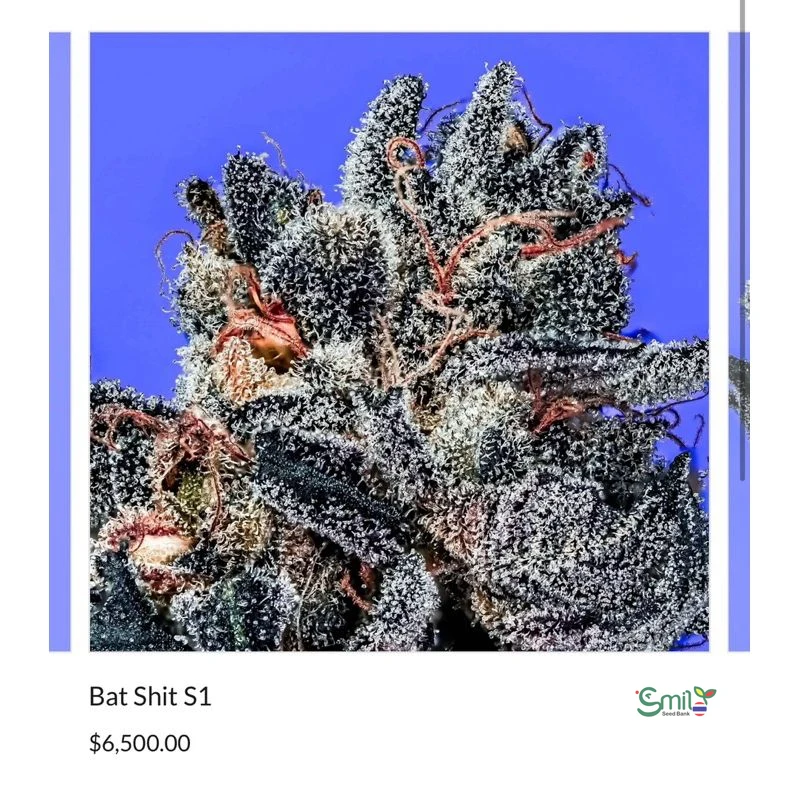 Bat Shit — 3