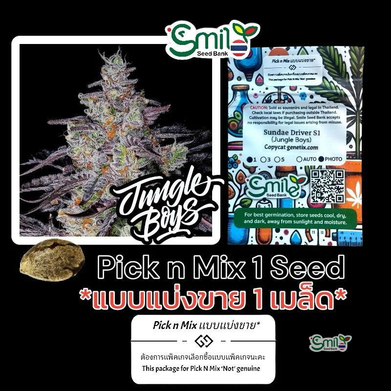 Sundae Driver S1 — 3