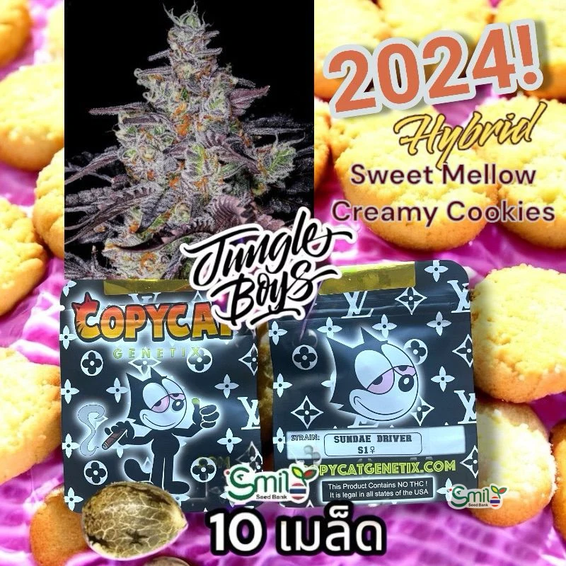 Sundae Driver S1 — 4