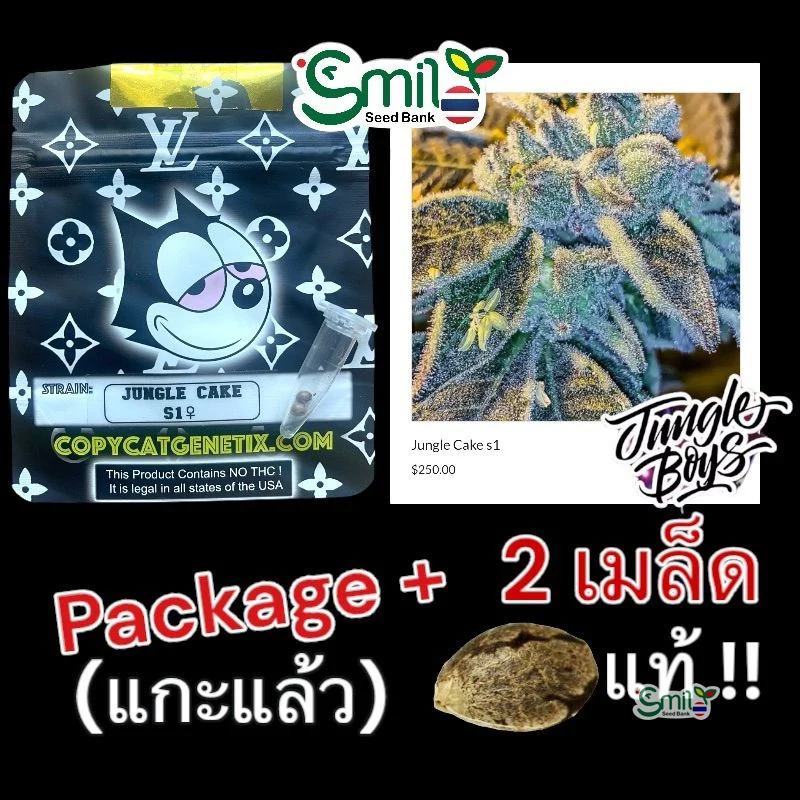 Jungle Cake S1 — 4