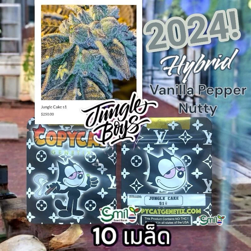 Jungle Cake S1 — 5