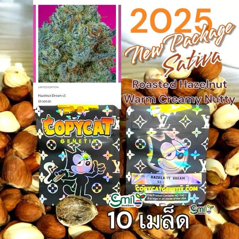 Hazelnut Dream — 5