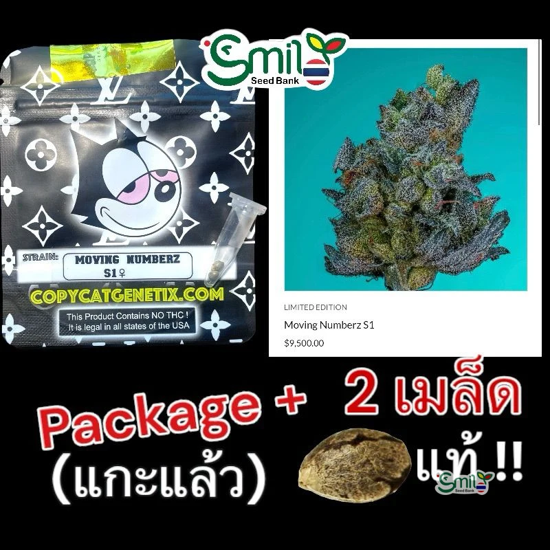 Moving Numberz S1 — 4