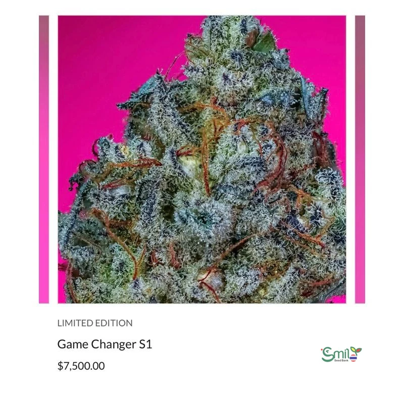 Game Changer S1 — 3