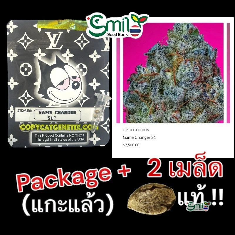 Game Changer S1 — 4