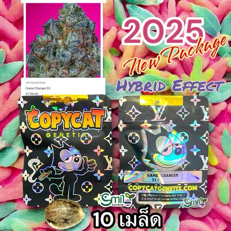 Game Changer S1 — 5