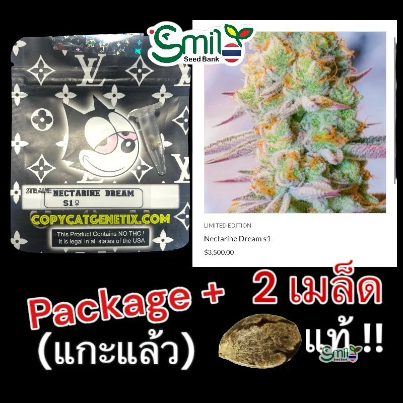 Nectarine Dream S1 — 4