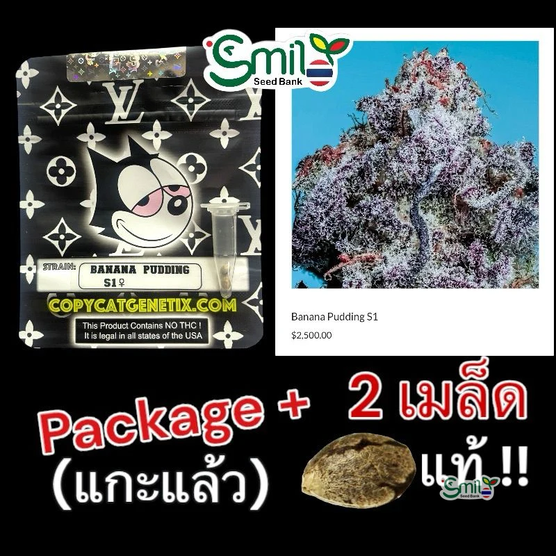 Banana Pudding S1 — 3