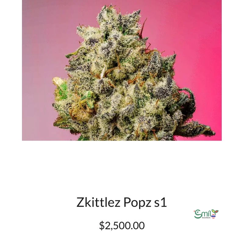 Zkittle Popz S1 — 3
