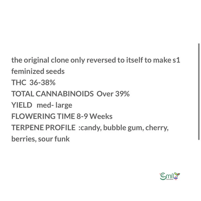 Zkittle Popz S1 — 4