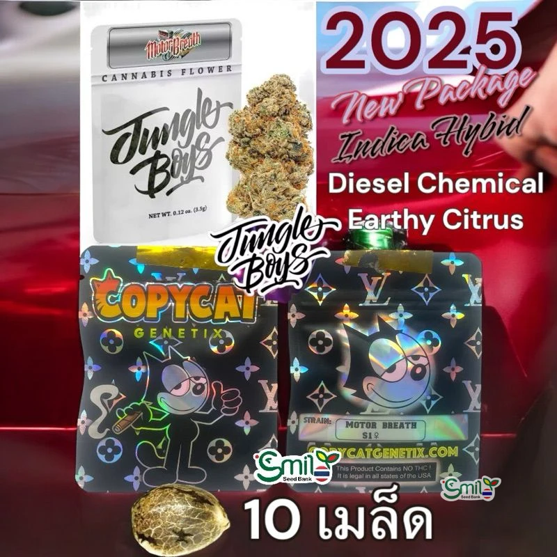 Motorbreath 15 S1 — 2