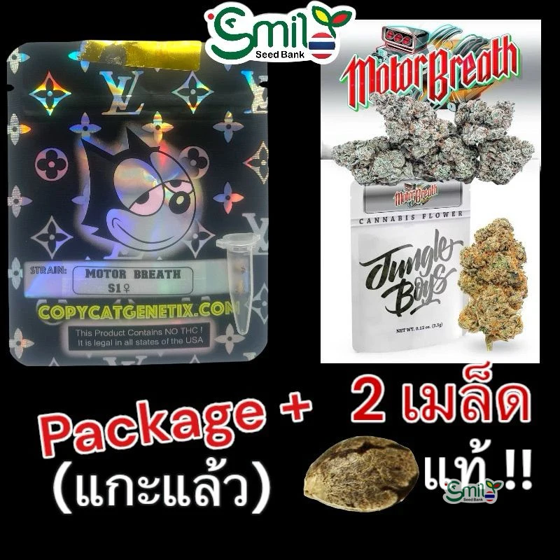 Motorbreath 15 S1 — 4