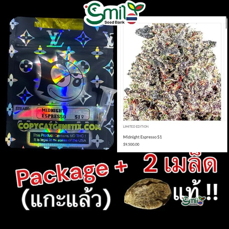 Midnight Espresso S1 — 4