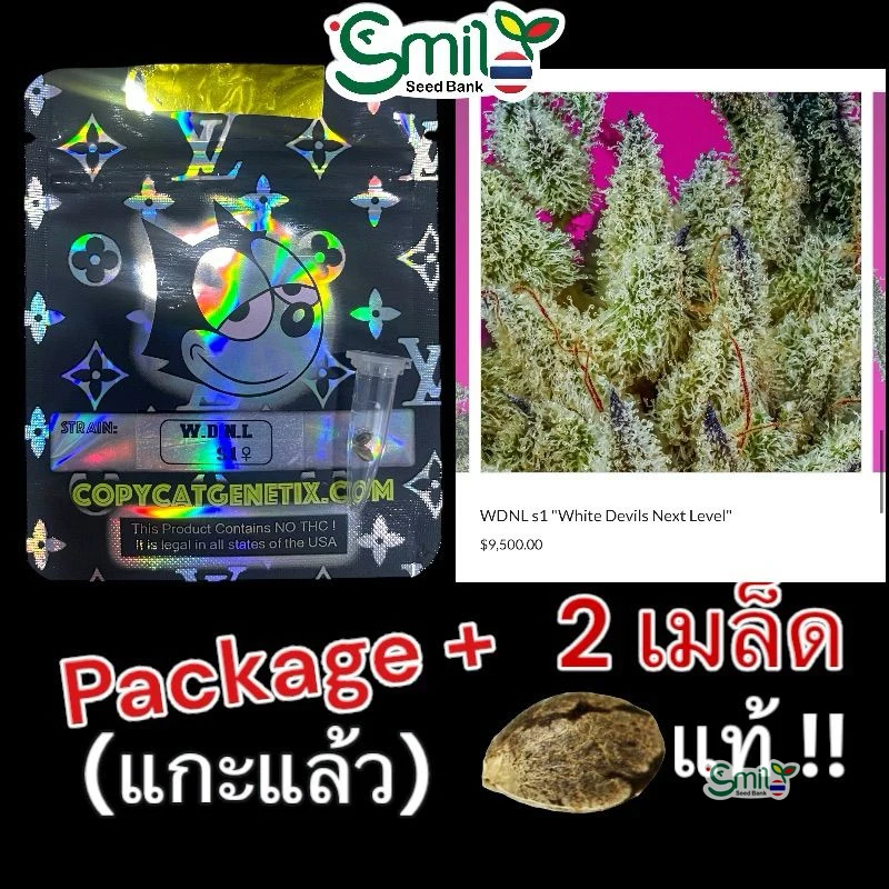 WDNL S1 (White Devils Next Level) — 4