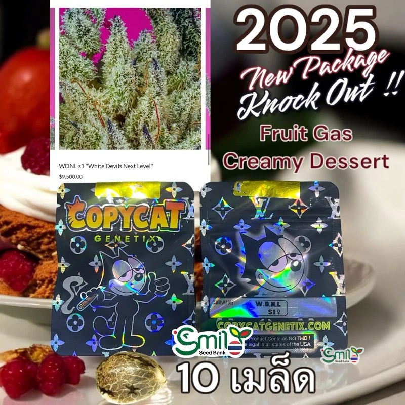 WDNL S1 (White Devils Next Level) — 5