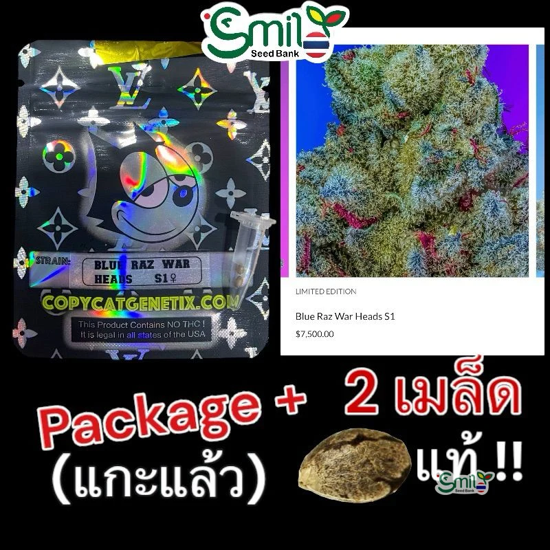 Blue Raz War Heads S1 — 4