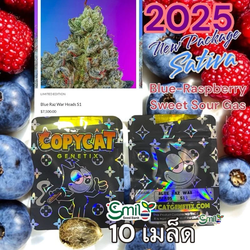 Blue Raz War Heads S1 — 5