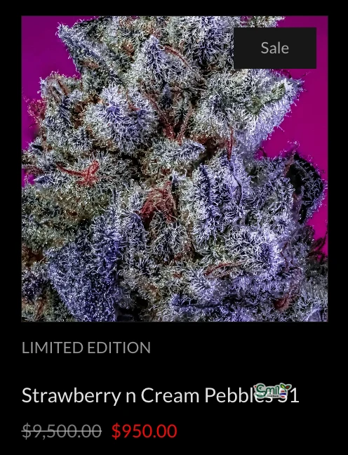 Strawberry n Cream Pebbles S1 — 3