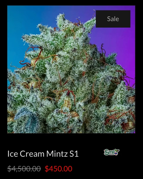 Ice Cream Mintz — 2