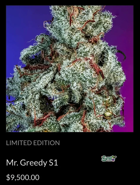 Mr. Greedy S1 — 3