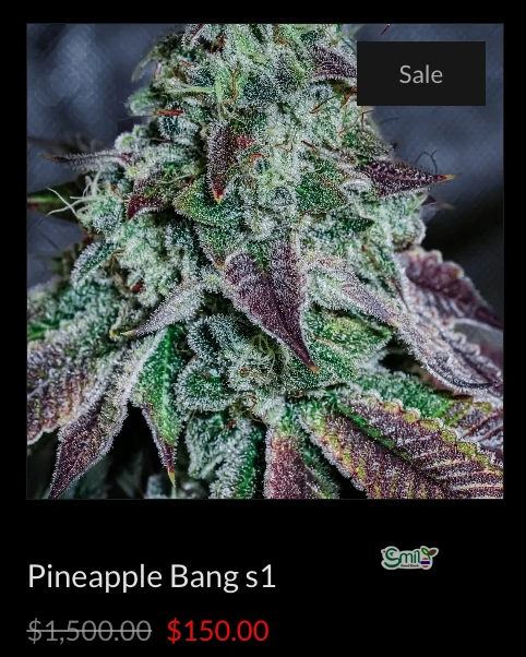 Pineapple Bang s1 — 2