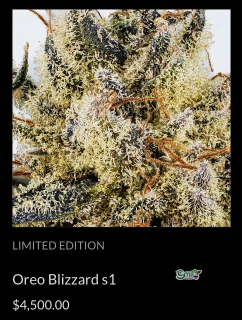 Oreo Blizzard S1 — 3