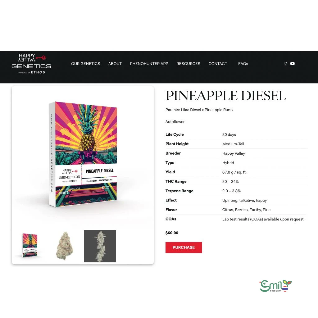 Pineapple Diesel Auto — 4